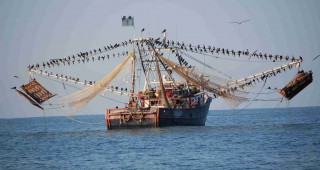 Рибарите отново готвят протест