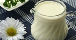 Семинарът За повече мляко - повече знания