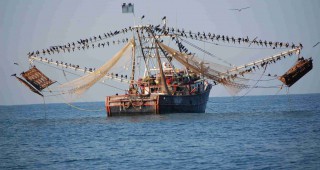 МЗХ и МОСВ обсъдиха мерки за опазване на рибните ресурси