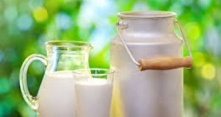 Близкият изток е ключов пазар за произведените в Ирландия млечни продукти