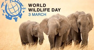 Отбелязваме Световният ден на дивата природа