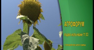 Тази седмица в АГРОФОРУМ: Добри новини за производителите на слънчоглед и на зеленчуци