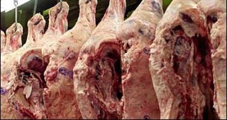 КОПА и КОДЖЕКА са против допълнителни квоти за безмитен внос на говеждо месо от Меркосур