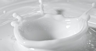 Ръст на млекопроизводството в Германия