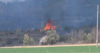 Пожар унищожи декари с лозя и овощни градини в землището на дупнишкото село Мурсалево