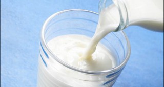 Спад в производството на млечни продукти