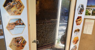 Евродепутатът Мария Габриел и столичният кмет Йорданка Фандъкова откриха първия в София Музей на пчелата