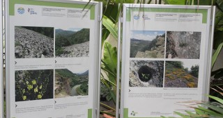 Изложба представя места с рядка растителност в Ботаническа градина на Софийския университет