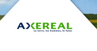 Axereal – лидер в зърнената индустрия