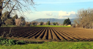 Екологичното земеделие влияе благотворно на климата