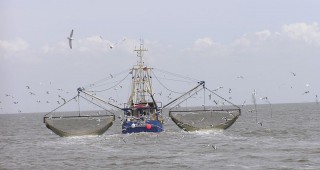 Забрана за претоварване в открито море, предлагат изследователи