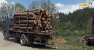 Горски инспектори от РДГ-София са извършили 110 проверки по Закона за горите