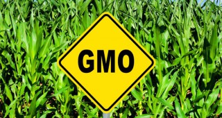 Без ГМО в Австрия