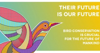 Световният ден за опазване на мигриращите птици се отбелязва на 10 май