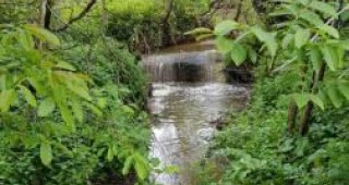 Мъртва риба в река Мечка установиха отново експерти на РИОСВ – Пловдив
