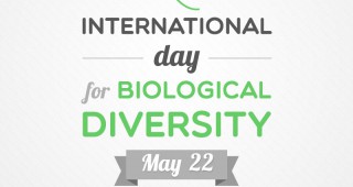 На 22 май отбелязваме Международния ден на биологичното разнообразие