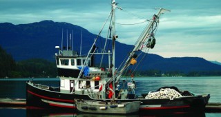 Започва прием на заявления за регистриране на риболовни кораби за улов на калкан през 2010 г.