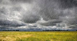 Жълт код за обилни валежи от дъжд и гръмотевична активност е обявен в 7 области на страната