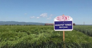 Открит полски ден на ДюПон растителна защита в землището на Бяла Слатина