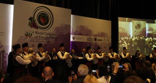 Министър Порожанов: Лозаро-винарският сектор е водещ за земеделието в България