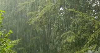 Значителна облачност с превалявания от дъжд в цялата страна