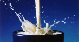 Търговията с домашно мляко се преустановява