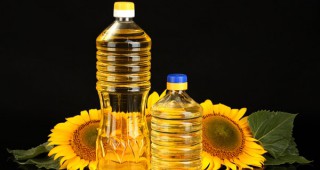 Без промяна остават цените на слънчогледовото олио