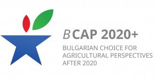 На 28 юни изтича срокът за попълване на въпросника ОСП след 2020 – Изборът на България