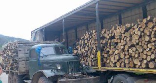 Горски служители задържаха над 250 куб. м дървесина и съставиха 205 акта