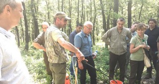 Експерименталният обект в ДГС Генерал Тошево дава насоки за възобновяване на издънковите дъбови гори