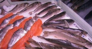 БАБХ проверява обектите за търговия с риба