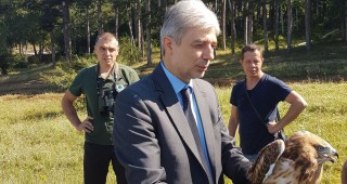 Министър Димов освободи диви птици в природата