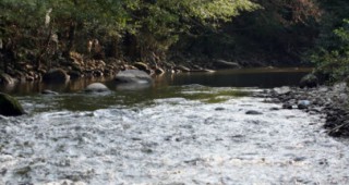Взимат мерки за замърсяването на река Луда Яна