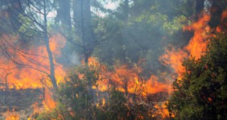 Гръцките власти предупреждават за висок риск от пожари
