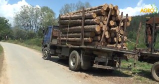 Задържана е дървесината от запалилия се ТИР на магистрала 