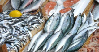 Рибната борса във Варна затвори врати