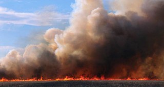 От началото на годината горски пожари в Португалия са опустошили 141 000 хектара растителност