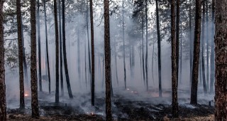 Пожарът в Кресненското дефиле все още има активни огнища