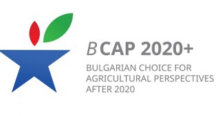 Резултати от национално публично обсъждане ОСП след 2020 – Изборът на България