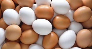 Спокоен пазар на яйца в началото на септември