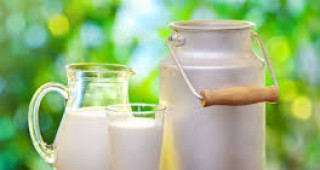 През 2018 година производството на мляко в Европейския съюз ще нарасне значително