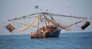 Нови квоти за риболова в Балтийско море