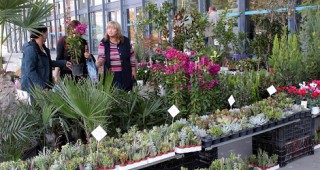 Декоративни и екзотични растения завземат изложбата Цветна есен 2017