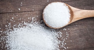 Близо 21 милиона тона захар ще произведе Европейският съюз през новата стопанска година