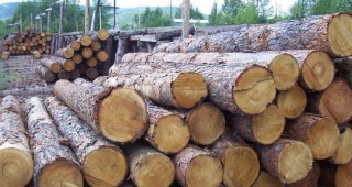 ИАГ и държавните предприятия засилват контрола по опазване на горските територии