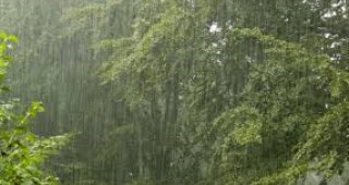 От началото на интензивните валежи най-засегнати са горските стопанства в Малко Търново, Кости и Бургас