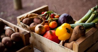 Задруга на производителите и търговците на здравословни храни ще бъде учредена през следващия месец в Арбанаси