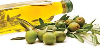 Тазгодишната реколта от маслини в Европейския съюз се очертава като по-добра