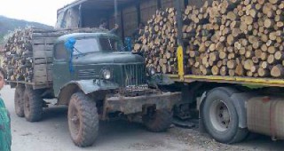 Горски инспектори от РДГ - Русе проверяват автомобилите, превозващи дървесина за Румъния