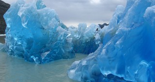 Голям айсберг се е отчупил от ледника Грей в Чили